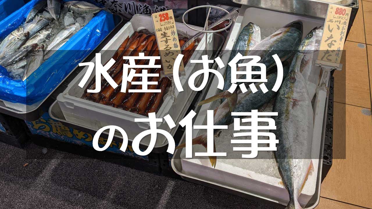 水産（鮮魚）の仕事・職務内容と将来性