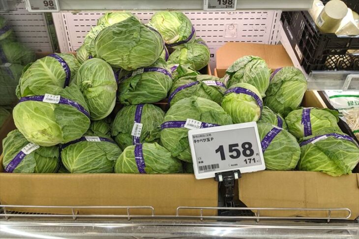 キャベツと電子棚札