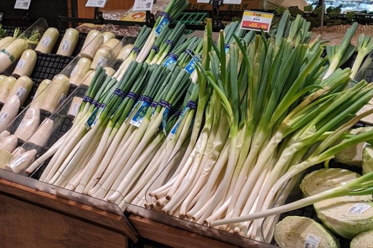 たばねらで巻かれたネギと巻かれてないネギ